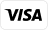 płatność visa