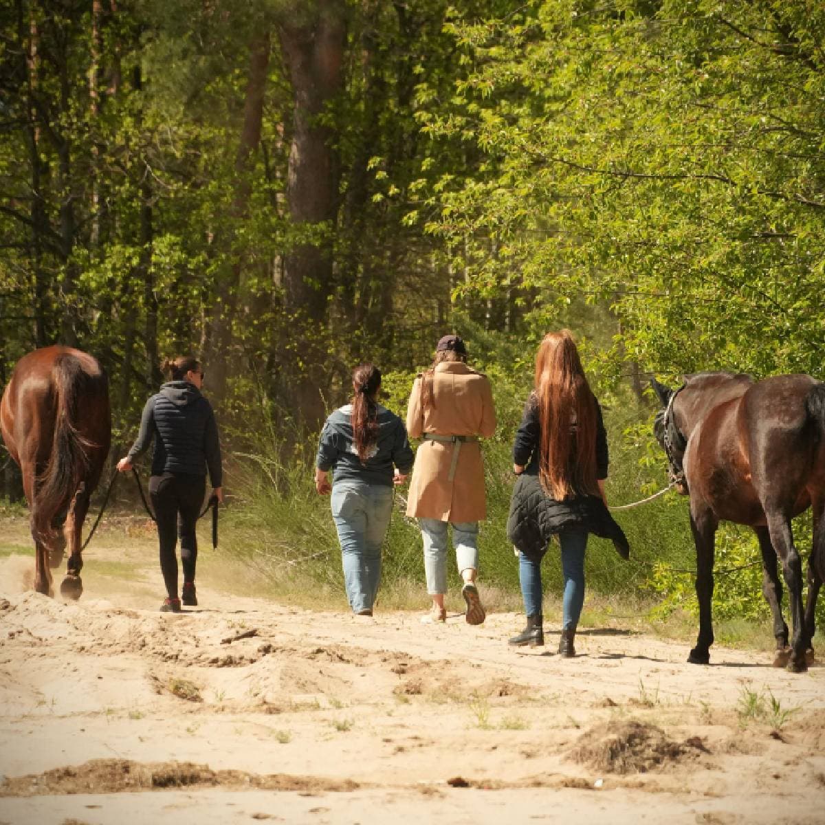 Rodzinny spacer z końmi  | Wysychy | Osada Przygoda