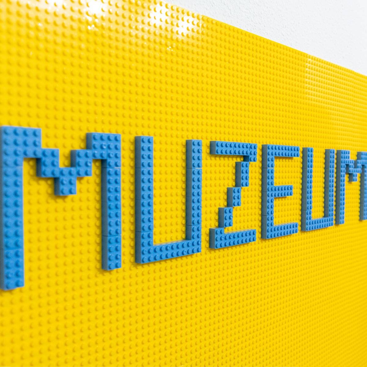 zdjęcie 10