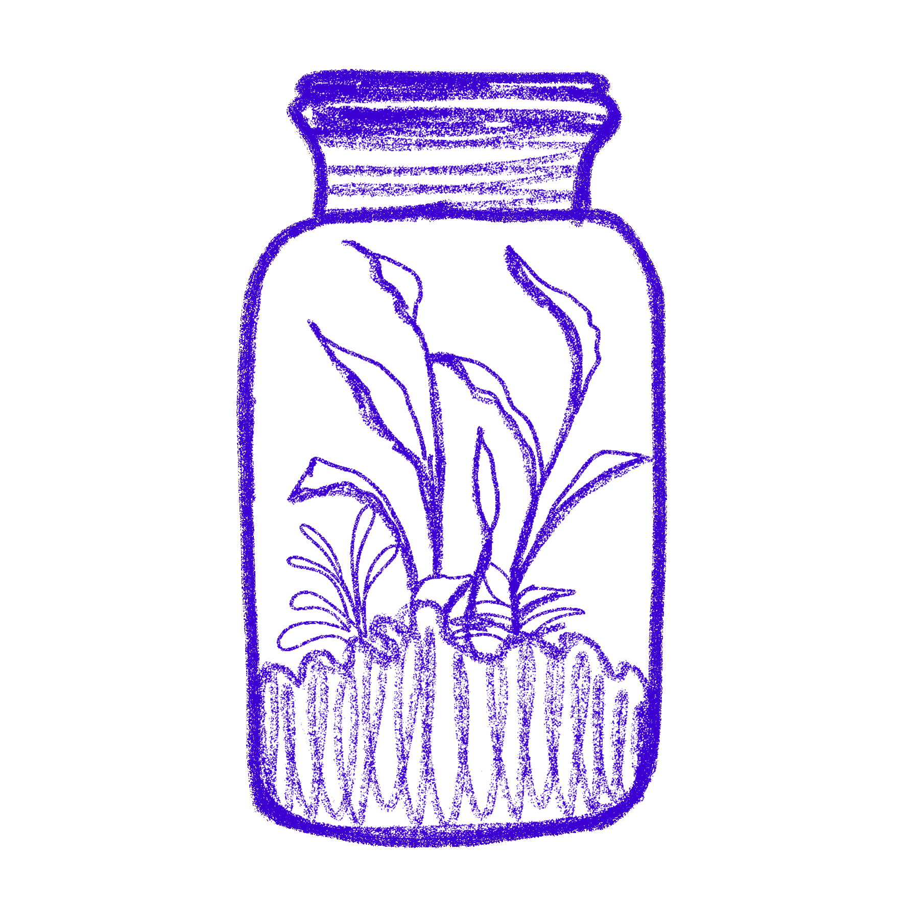 kategoria Warsztaty las w słoiku