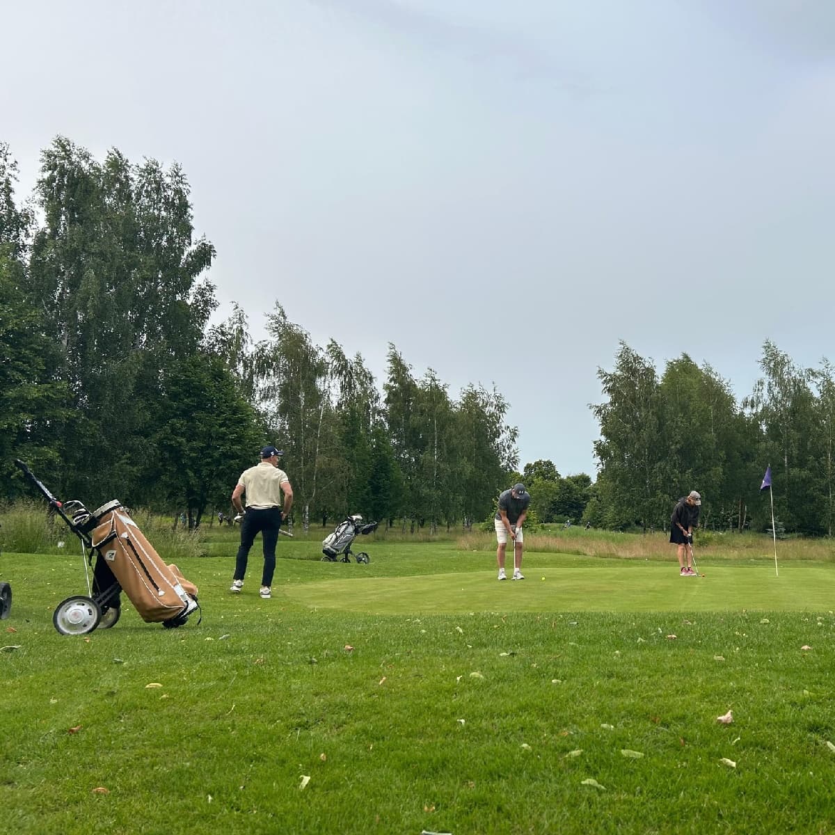 Kurs gry w golfa | Lublin
