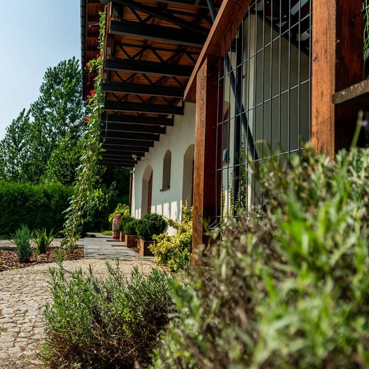 Romantyczny weekend dla dwojga | Ostrowiec Świętokrzyski (Daromin)