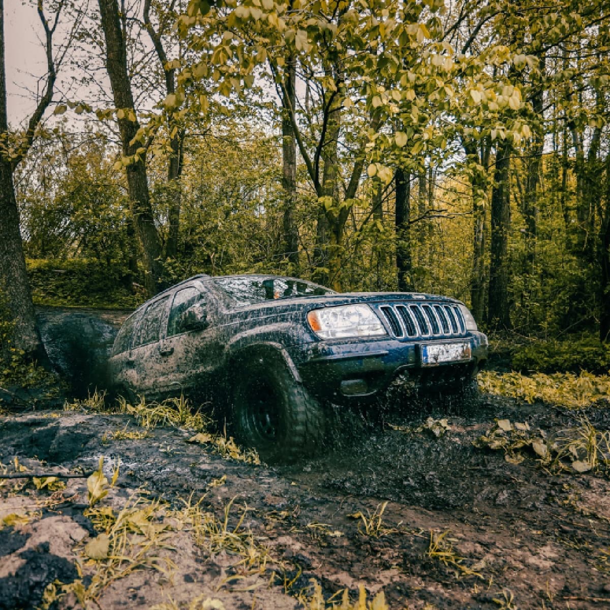 Off Road 4x4 | Warszawa (Sękocin Stary)