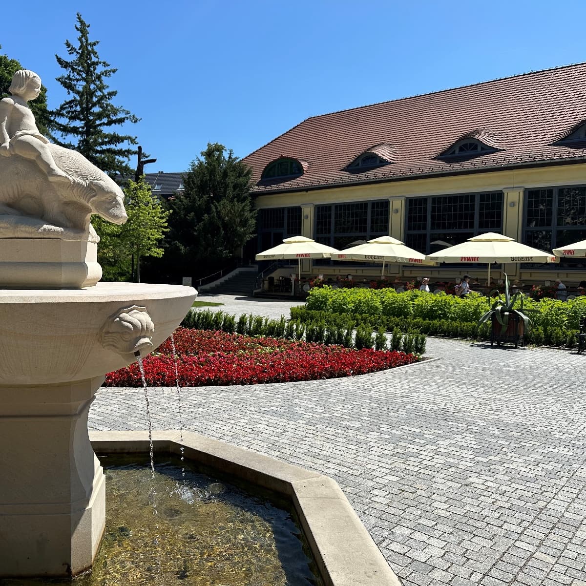 Voucher do kawiarni 50 PLN | Polanica-Zdrój | Bohema Kawiarnie