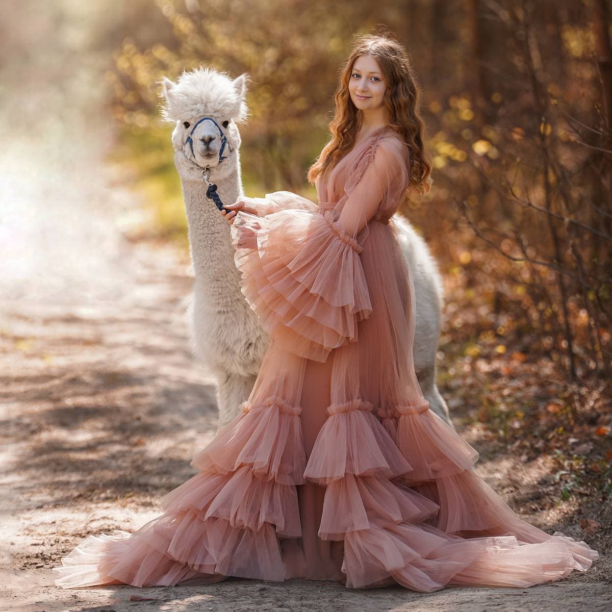 Sesja z alpakami | Gorzów Wielkopolski