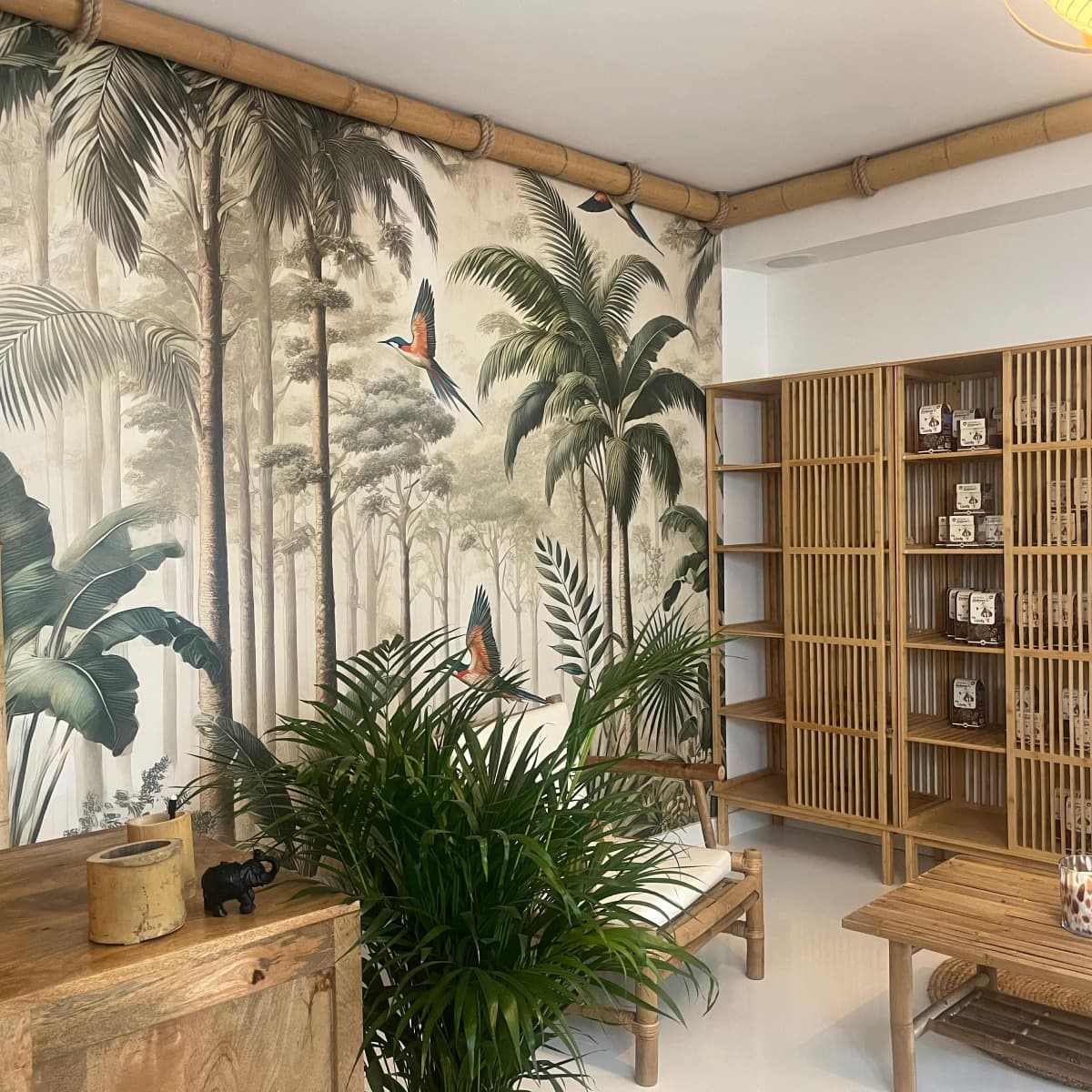 Masaż Lomi Lomi | Bydgoszcz | Sen Orientu