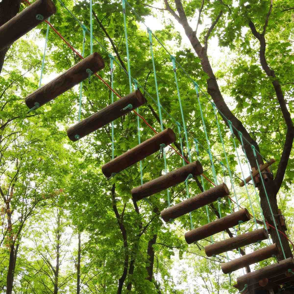 Park linowy dla dwojga - przygoda na wysokości | Olsztyn