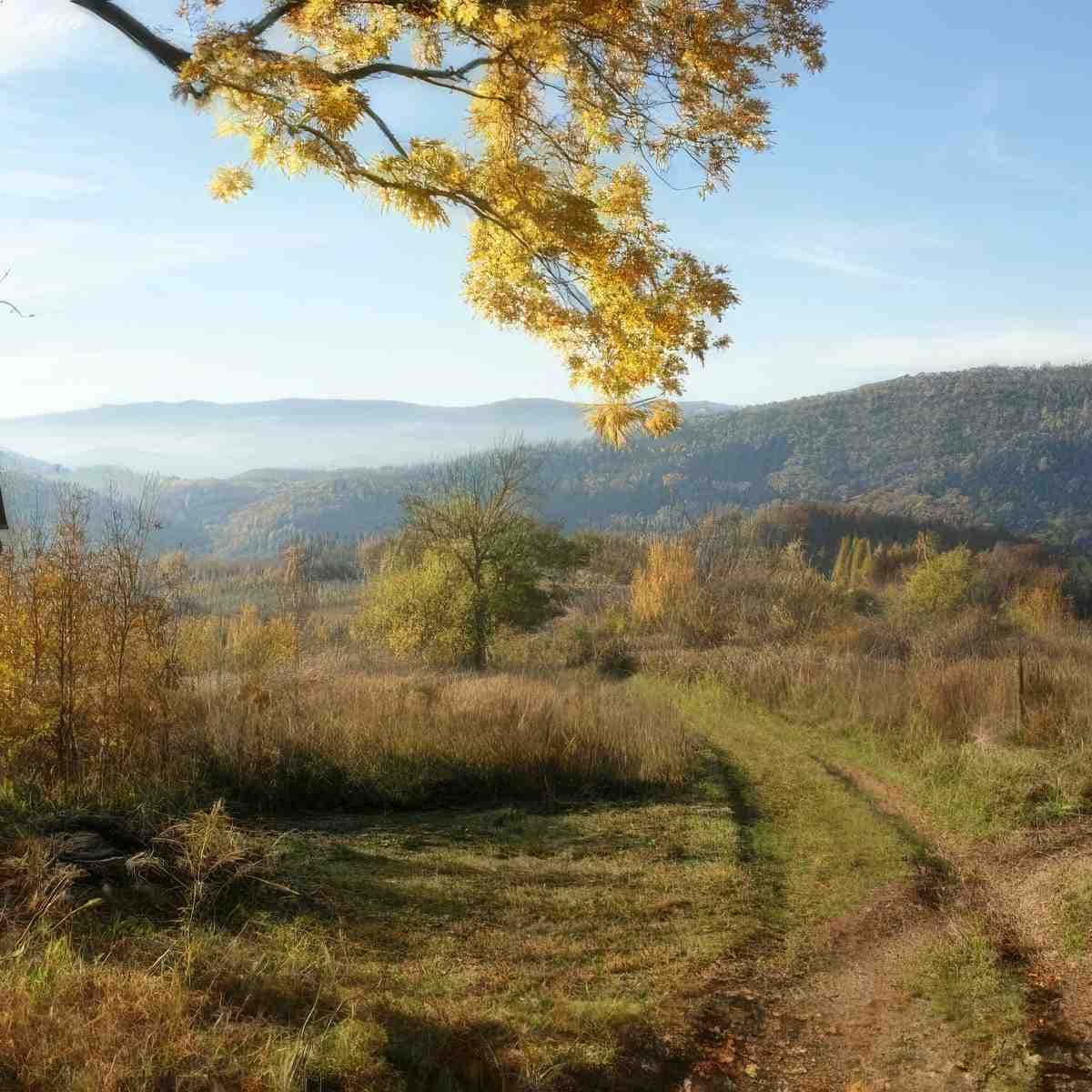 Geocaching w Krainie Wygasłych Wulkanów | Wrocław (Wojcieszów) | Active Trip - Sławomir Kosz