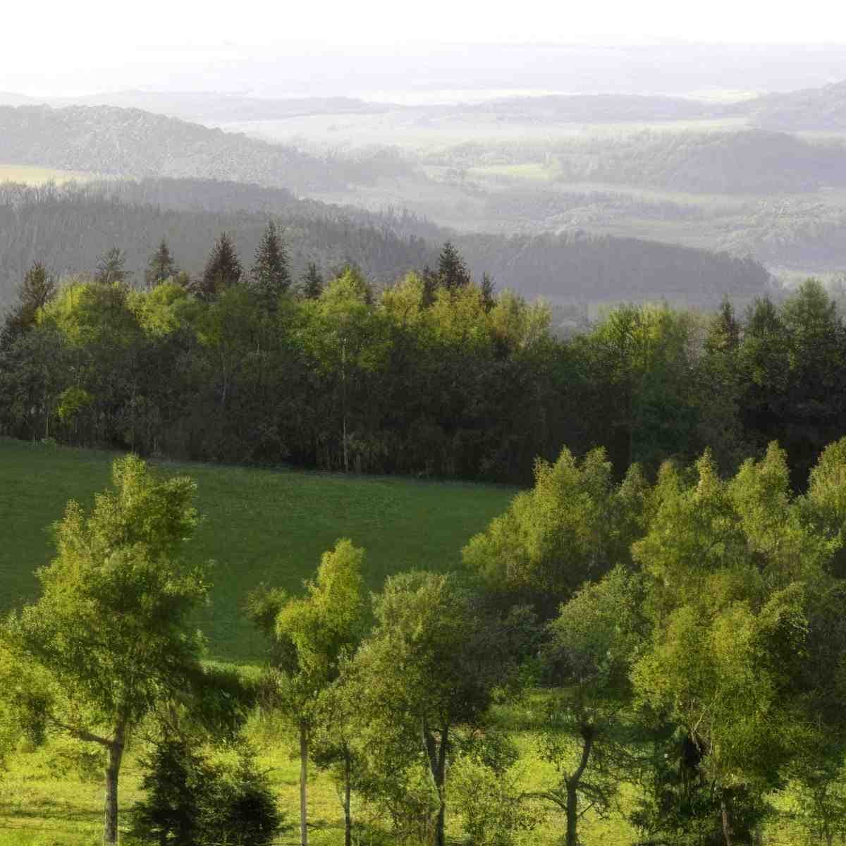 Wycieczka w poszukiwaniu skarbów Ziemi | Wrocław (Wojcieszów) | Active Trip - Sławomir Kosz