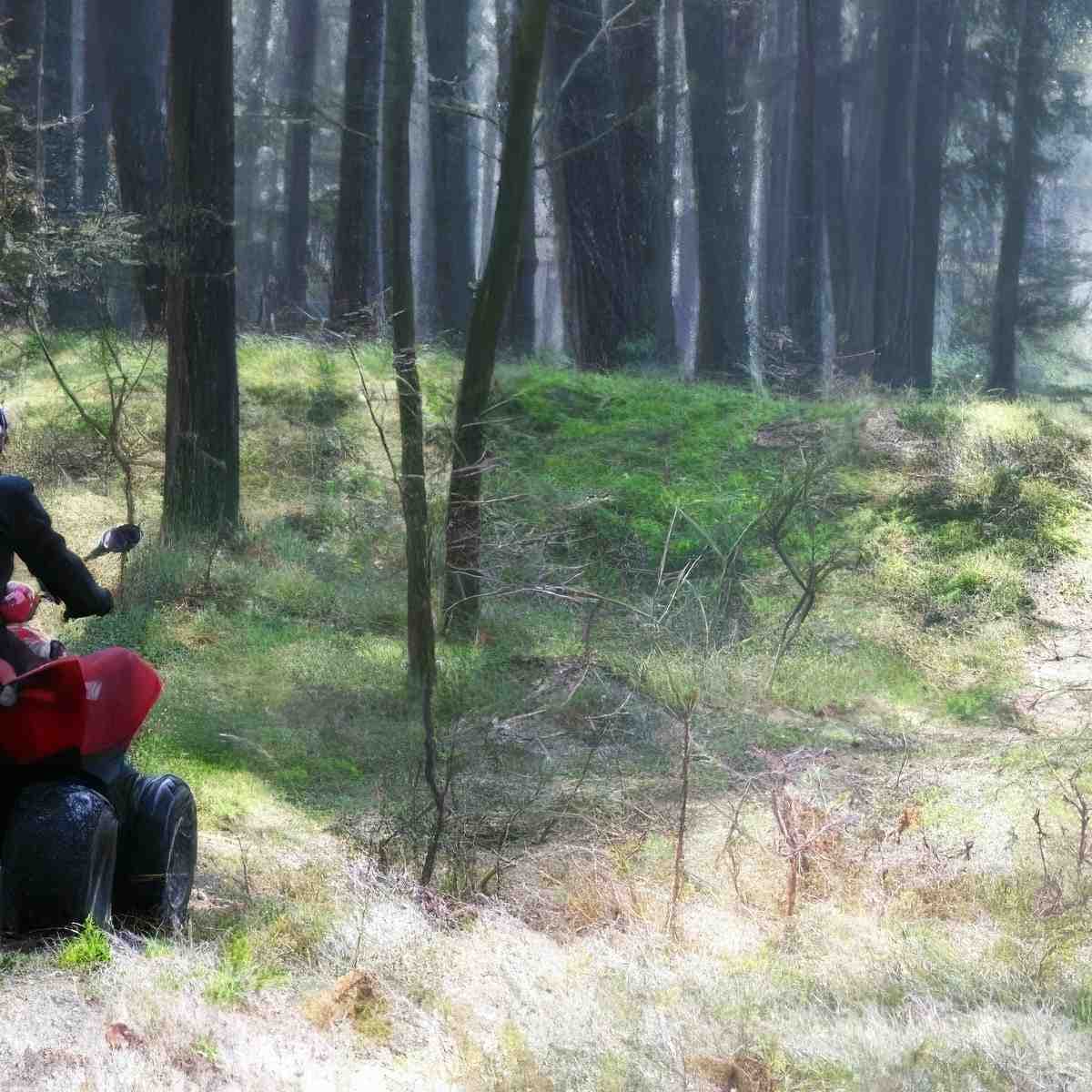 Przygoda na quadzie dla dwojga | Łochów (Zambrzyniec)