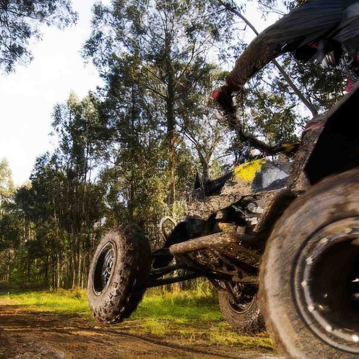 Wyprawa na quadach | Wisła