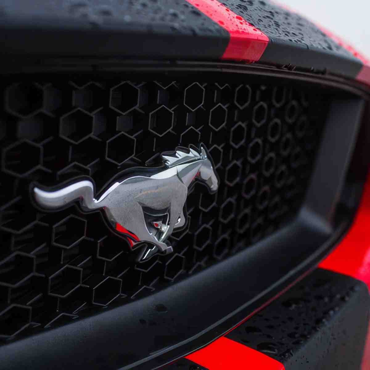 Jazda Fordem Mustangiem | Warszawa (Tor Bemowo) | SJS