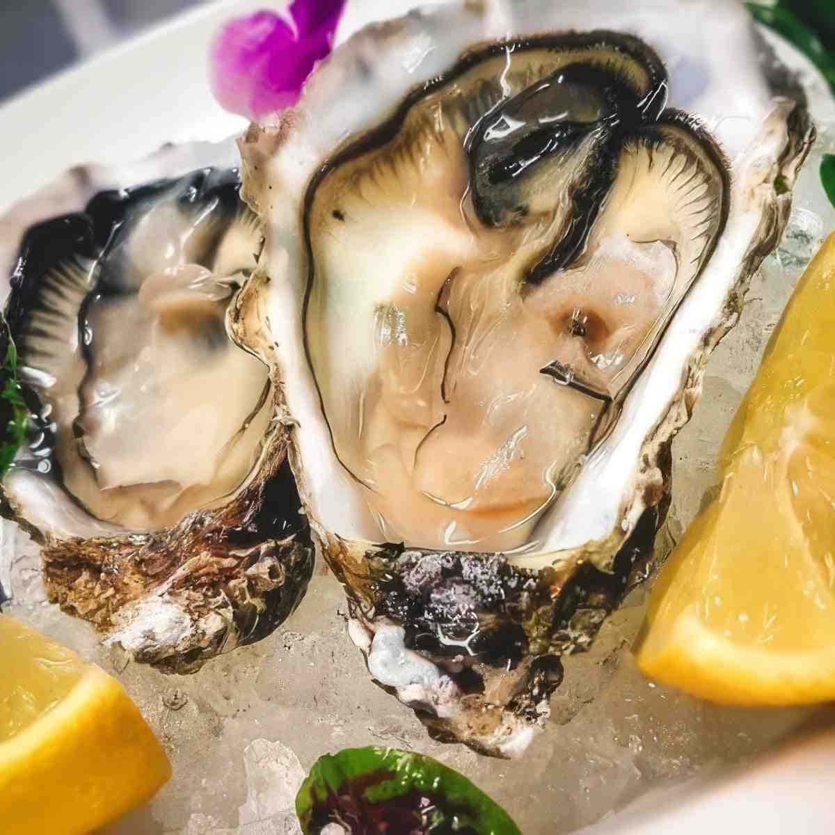 Voucher na kolację 200 PLN | Katowice | Restauracja Terra Mare