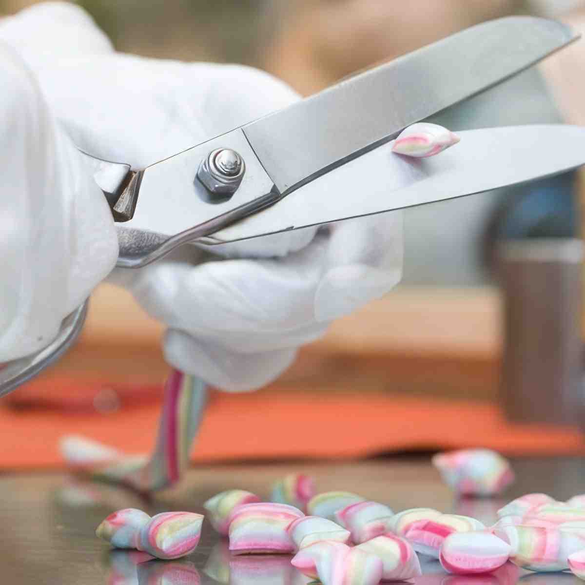 Cukierkowe warsztaty dla dwojga | Zakopane | Ciuciu Cukier Artist