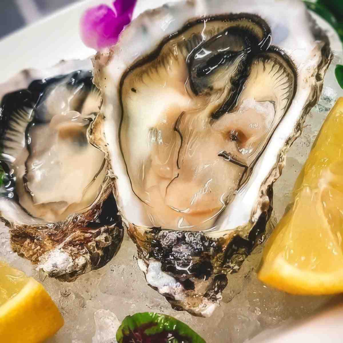 Włoska kolacja dla dwojga | Katowice | Restauracja Terra Mare