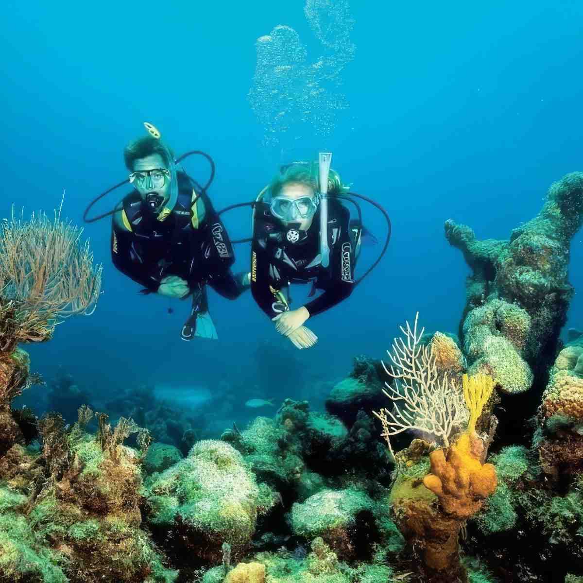 Kurs nurkowania (PADI/SSI/PSAI/SDI/IDF) | Łódź