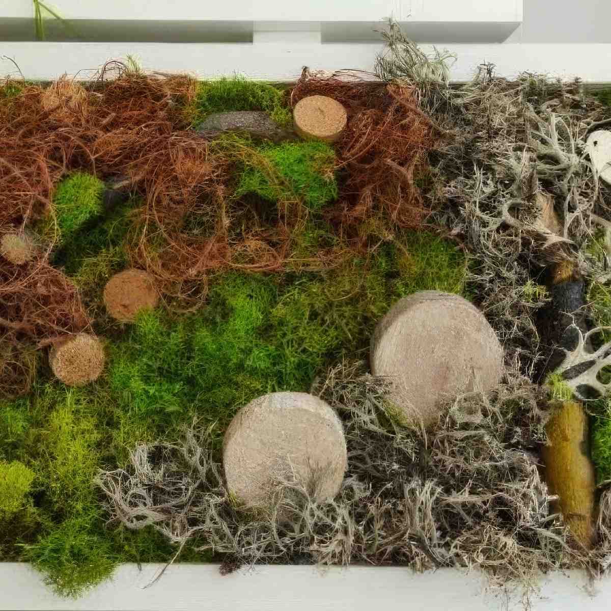 Stwórz własny obraz z mchu | Płock