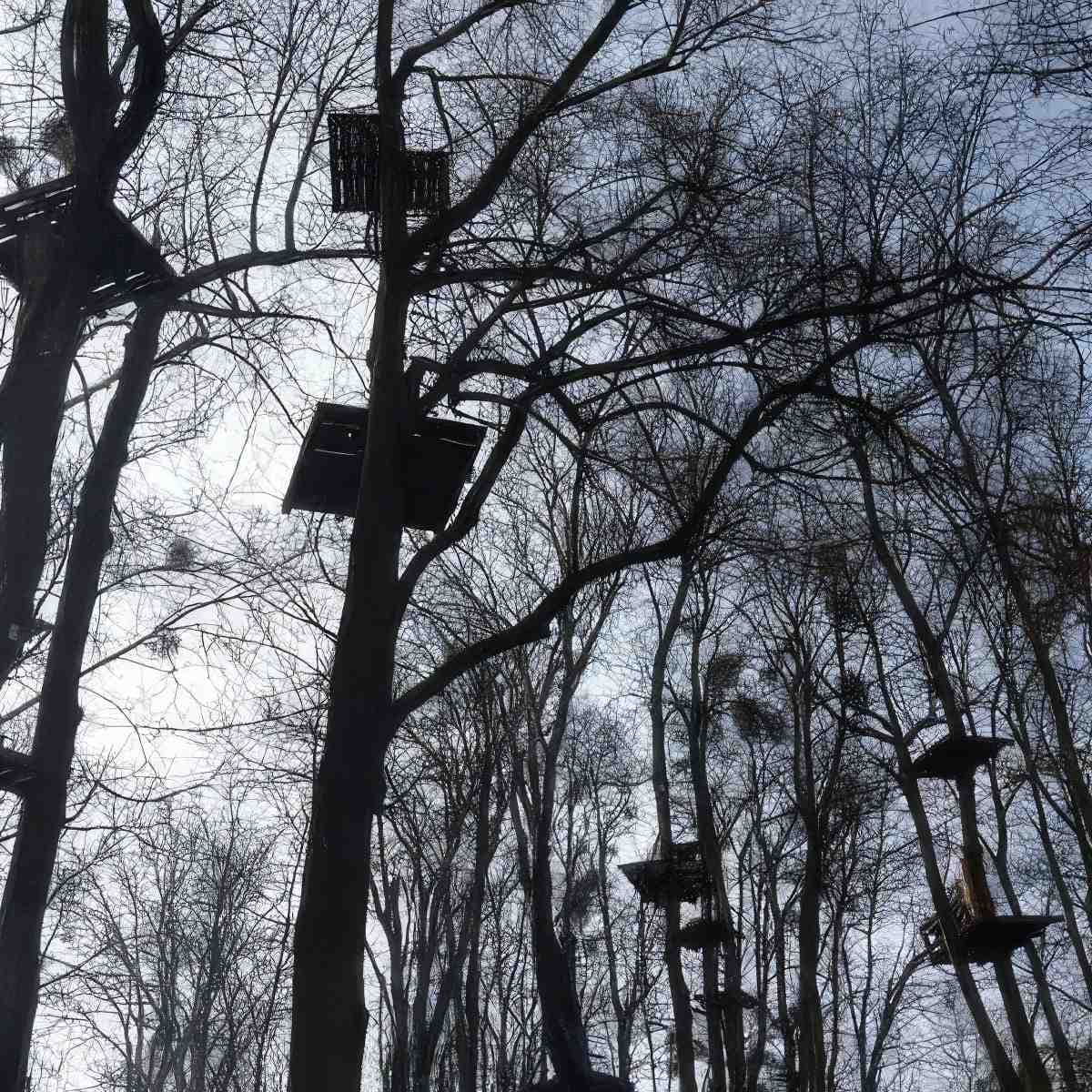 Dzień w parku przygód we dwoje | Poznań (Kobylnica)