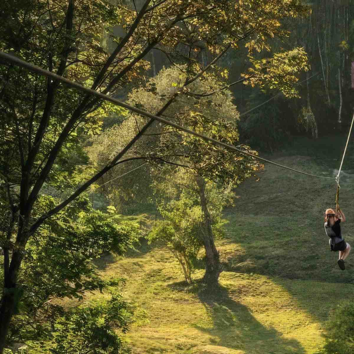 Park linowy - przygoda na wysokości | Koszalin