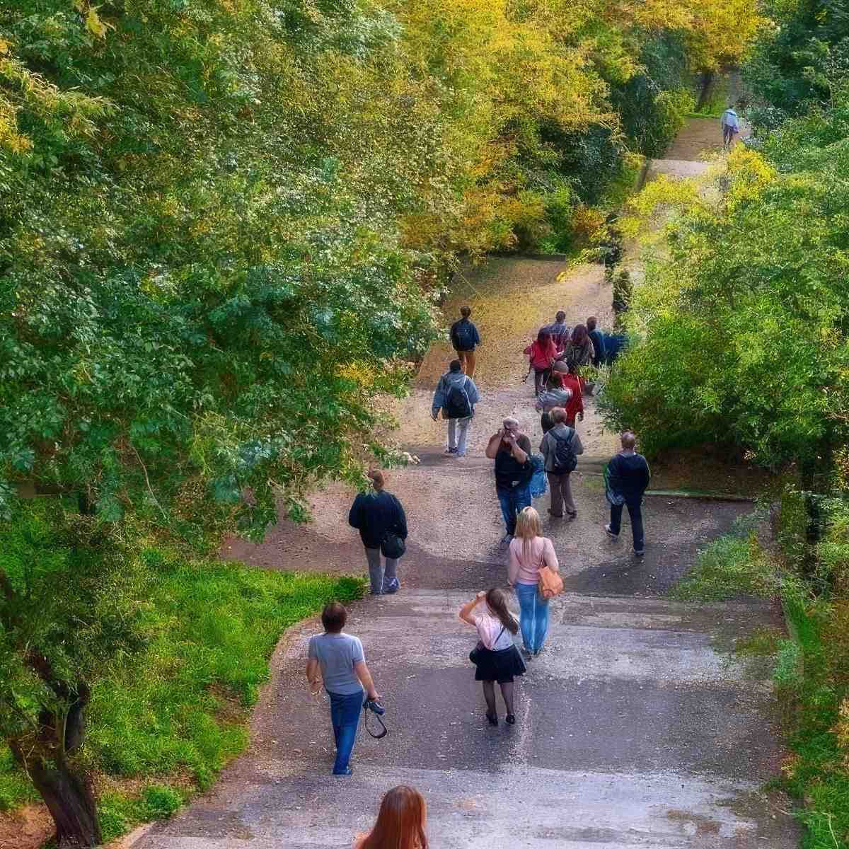 zdjęcie 5