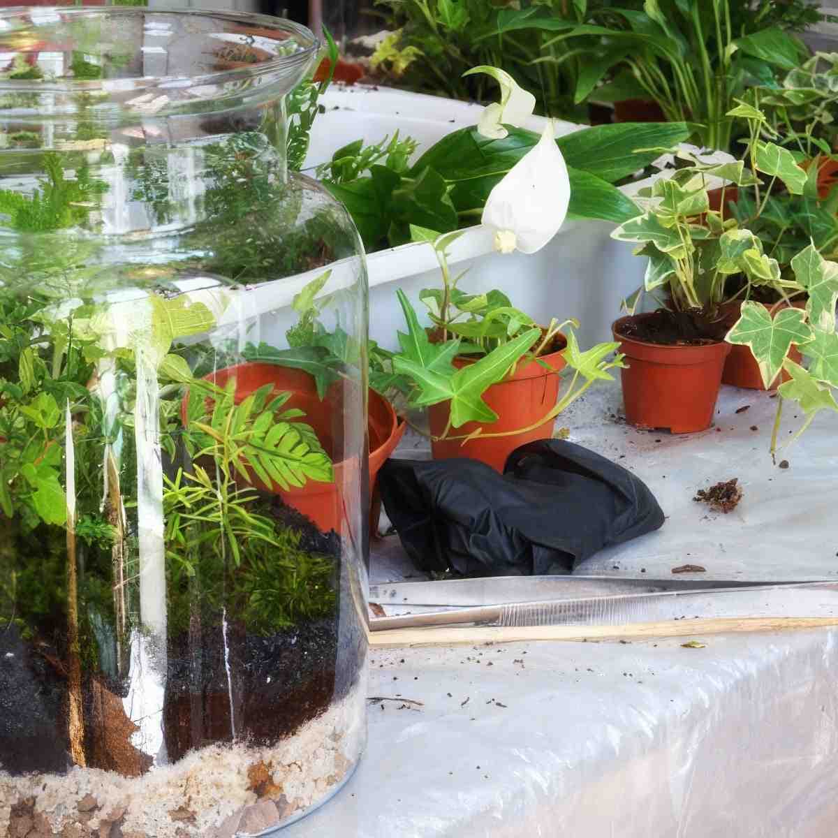 Stwórz własny las w słoiku dla dwojga | Warszawa (Mokotów)