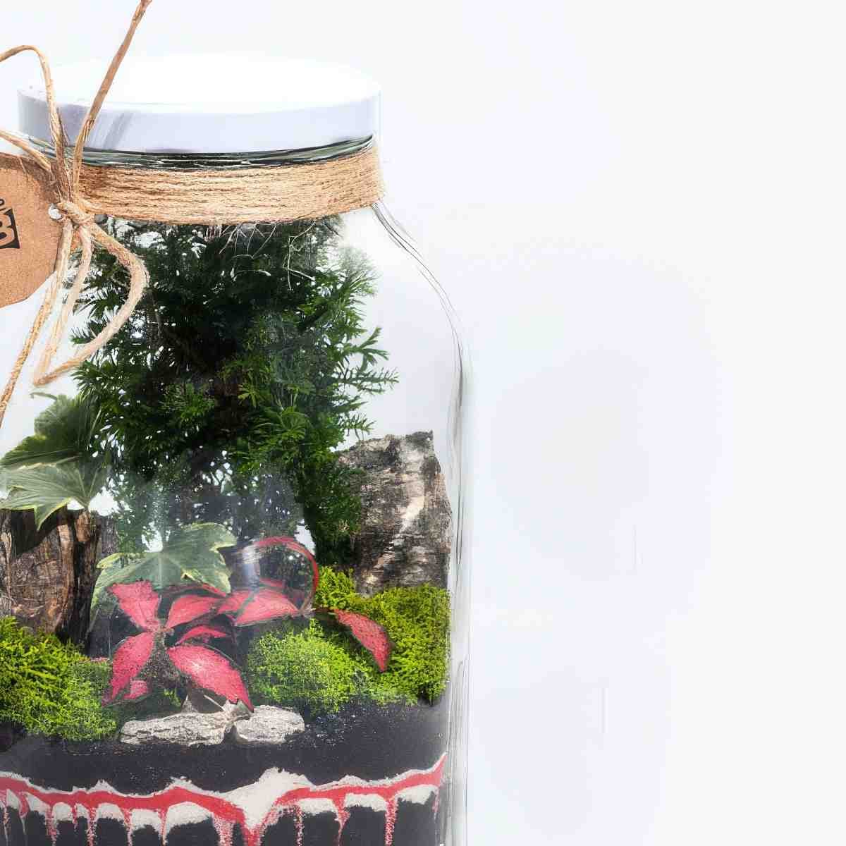 Stwórz własny las w słoiku dla dwojga | Warszawa (Białołęka)