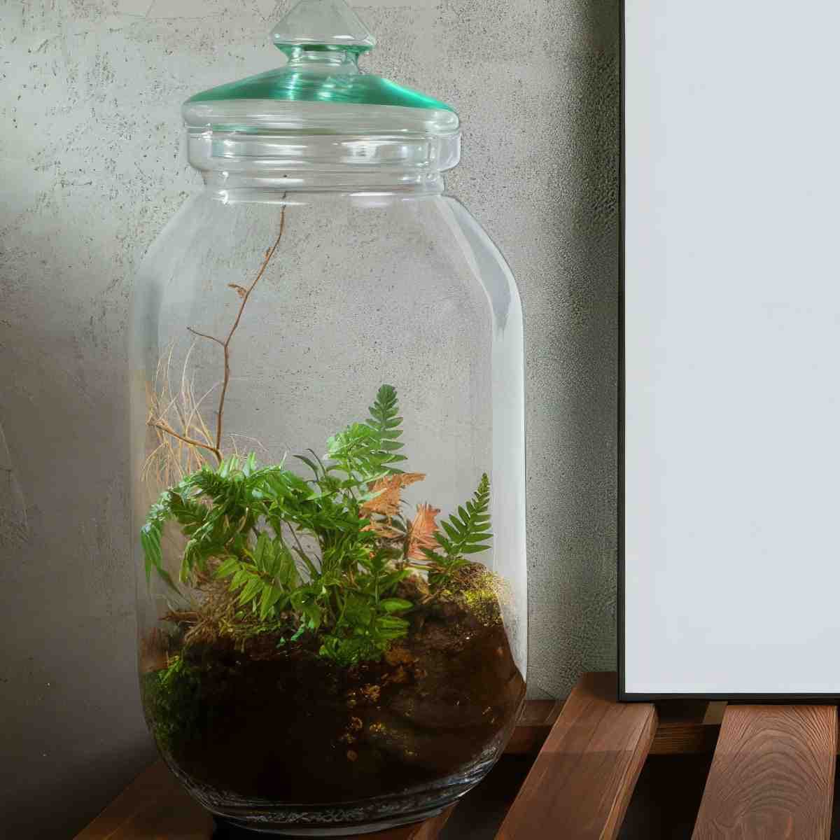 Stwórz własny las w słoiku dla dwojga | Łódź