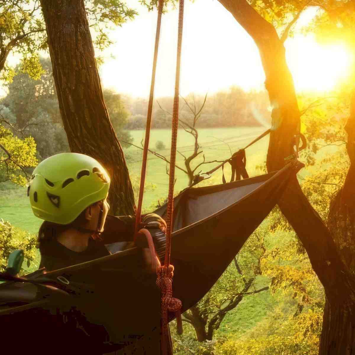 Nocowanie w koronach drzew | Warszawa | Misja Drzewa