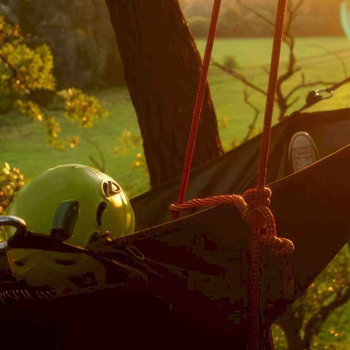 Warsztaty wspinaczki drzewnej | Warszawa