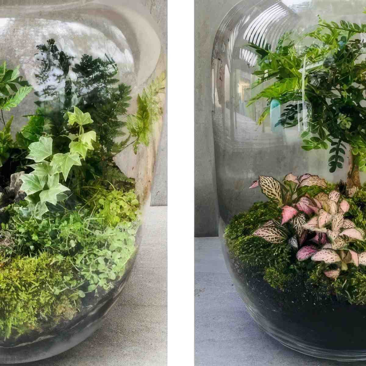 Stwórz własny Las w Słoiku | Kraków