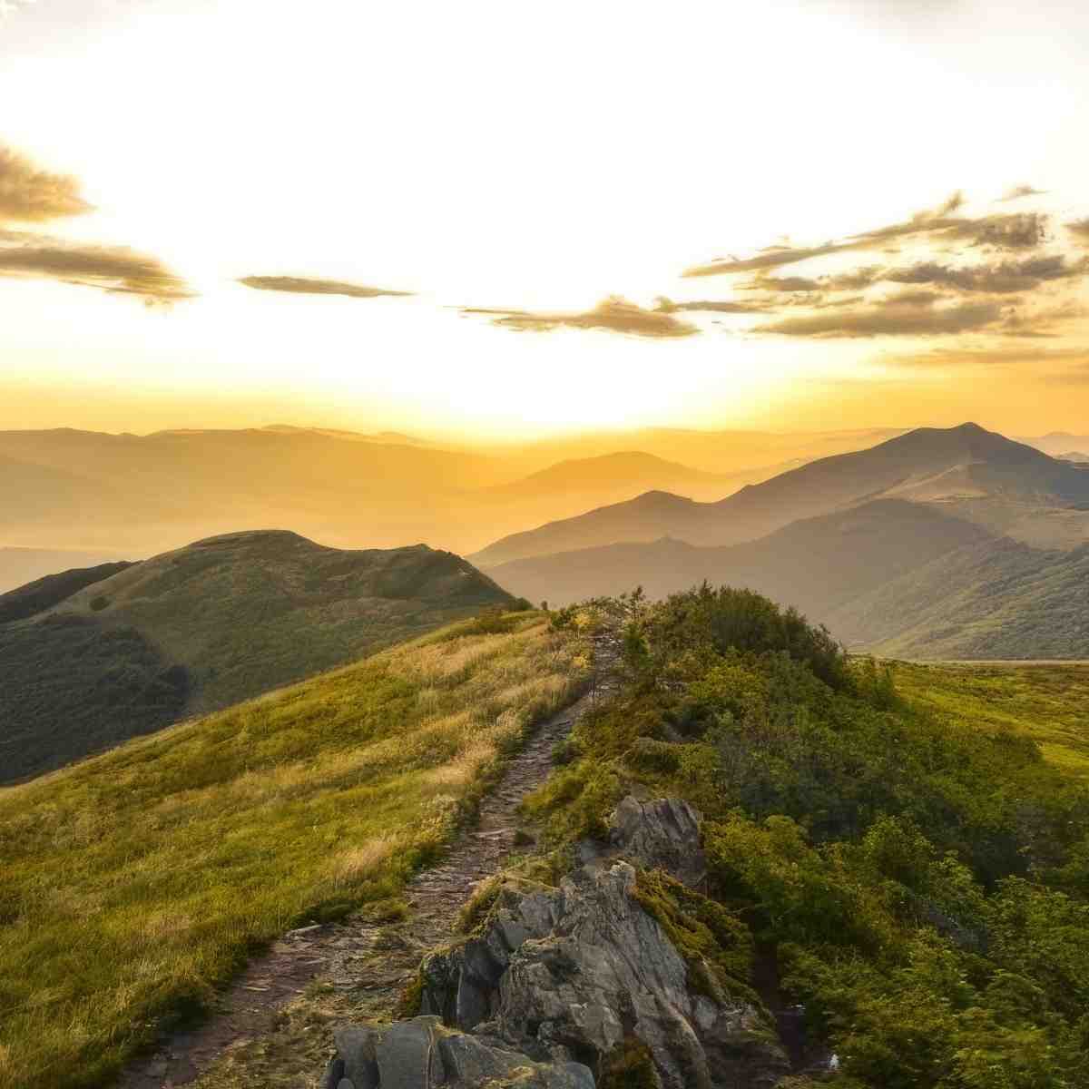 Bieszczady z przewodnikiem | Przewodnik Paweł Podklalicki