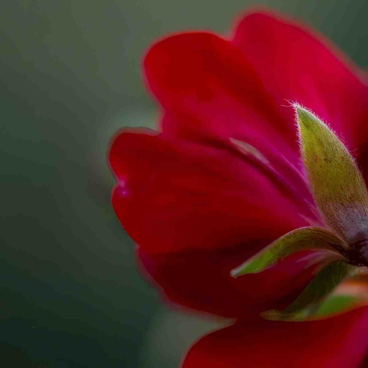 Poznaj fotografię | Zielona Góra