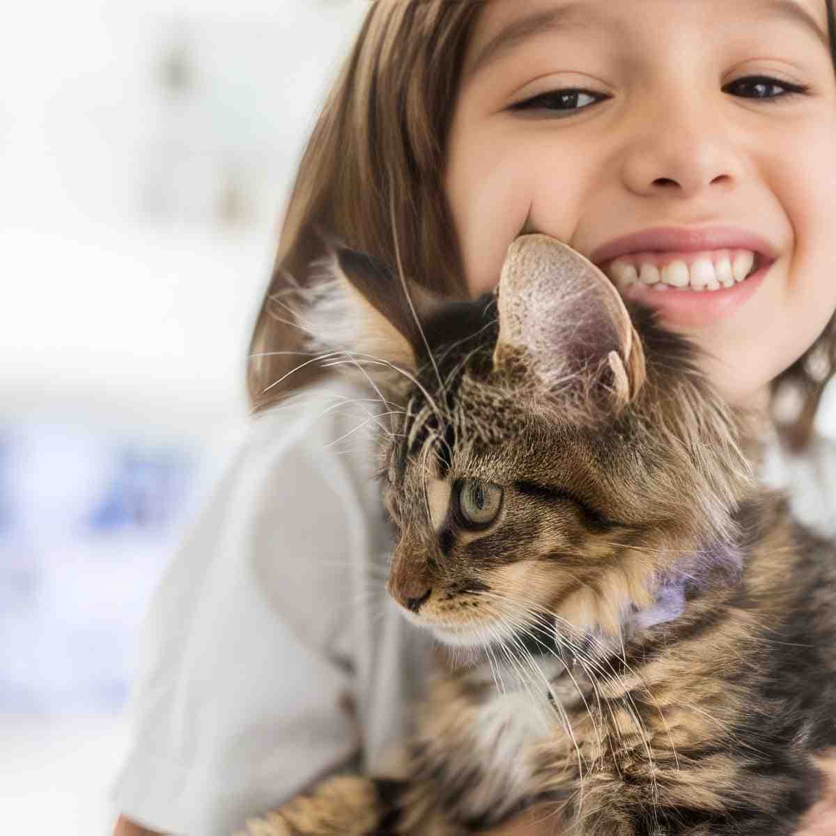 Kurs instruktora felinoterapii online