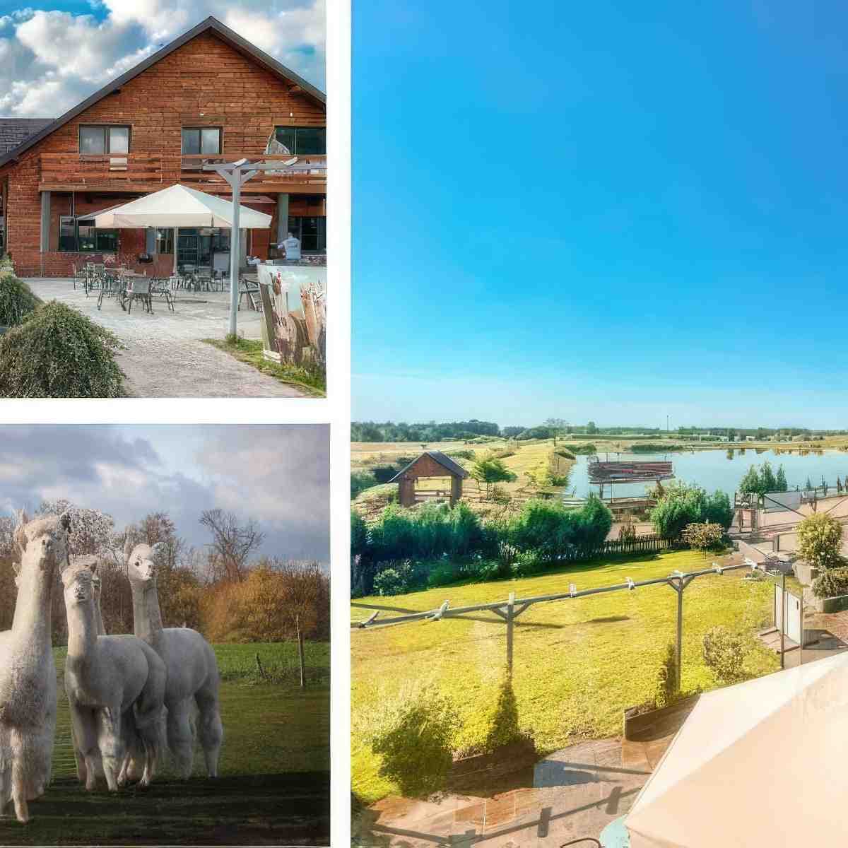 Weekend dla dwojga | Ciechanowiec | Ranczo Na Sówce