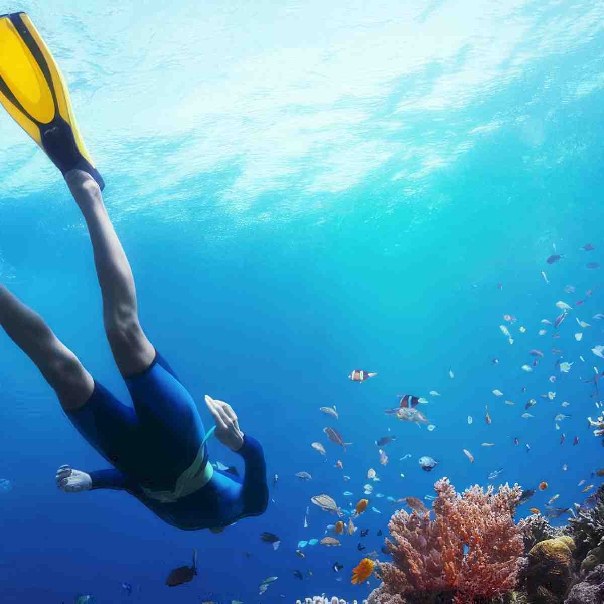 Kurs nurkowania (PADI/SSI/PSAI/SDI/IDF) | Warszawa (Praga)