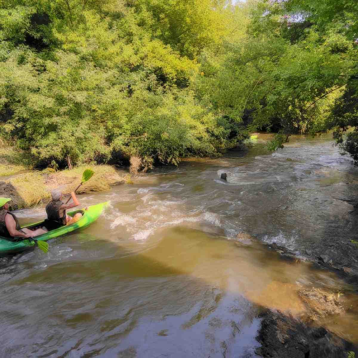 Spływ kajakiem dla grupy | Ostrowiec Świętokrzyski