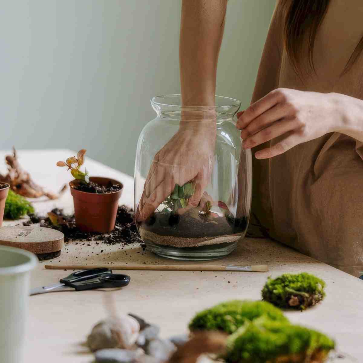 Stwórz własny Las w Słoiku | Wrocław