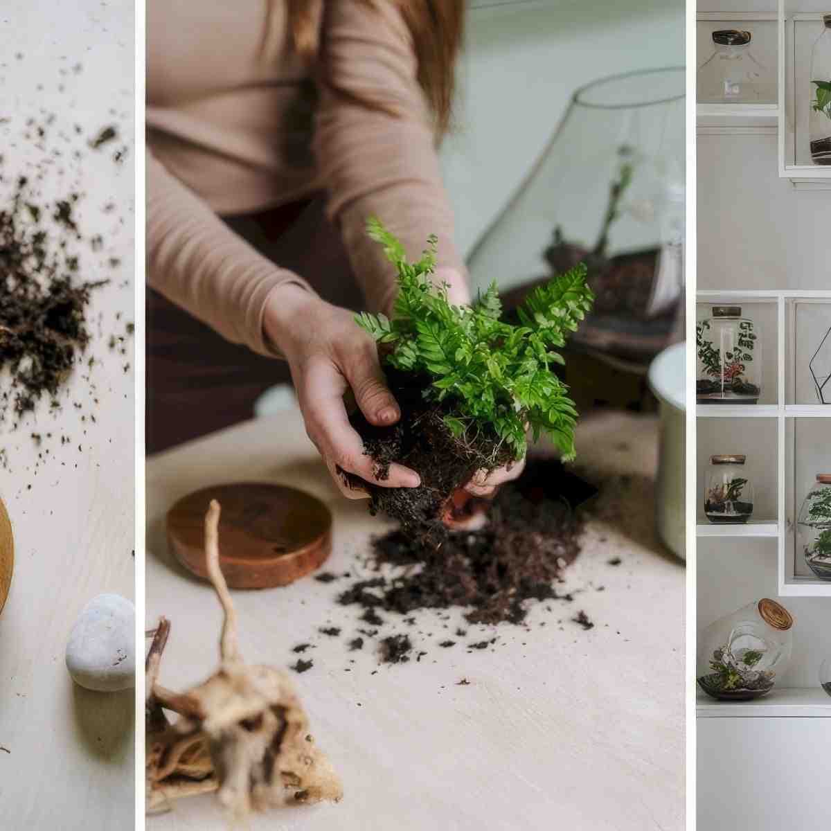 Stwórz własny las w słoiku dla dwojga | Wrocław