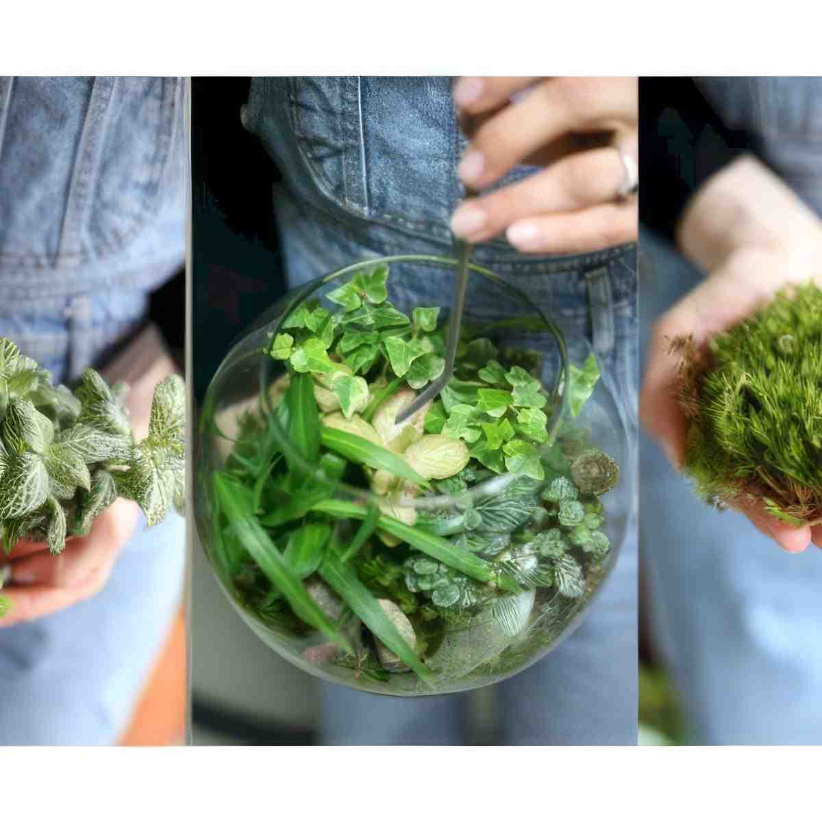 Stwórz własny las w słoiku dla dwojga | Sopot