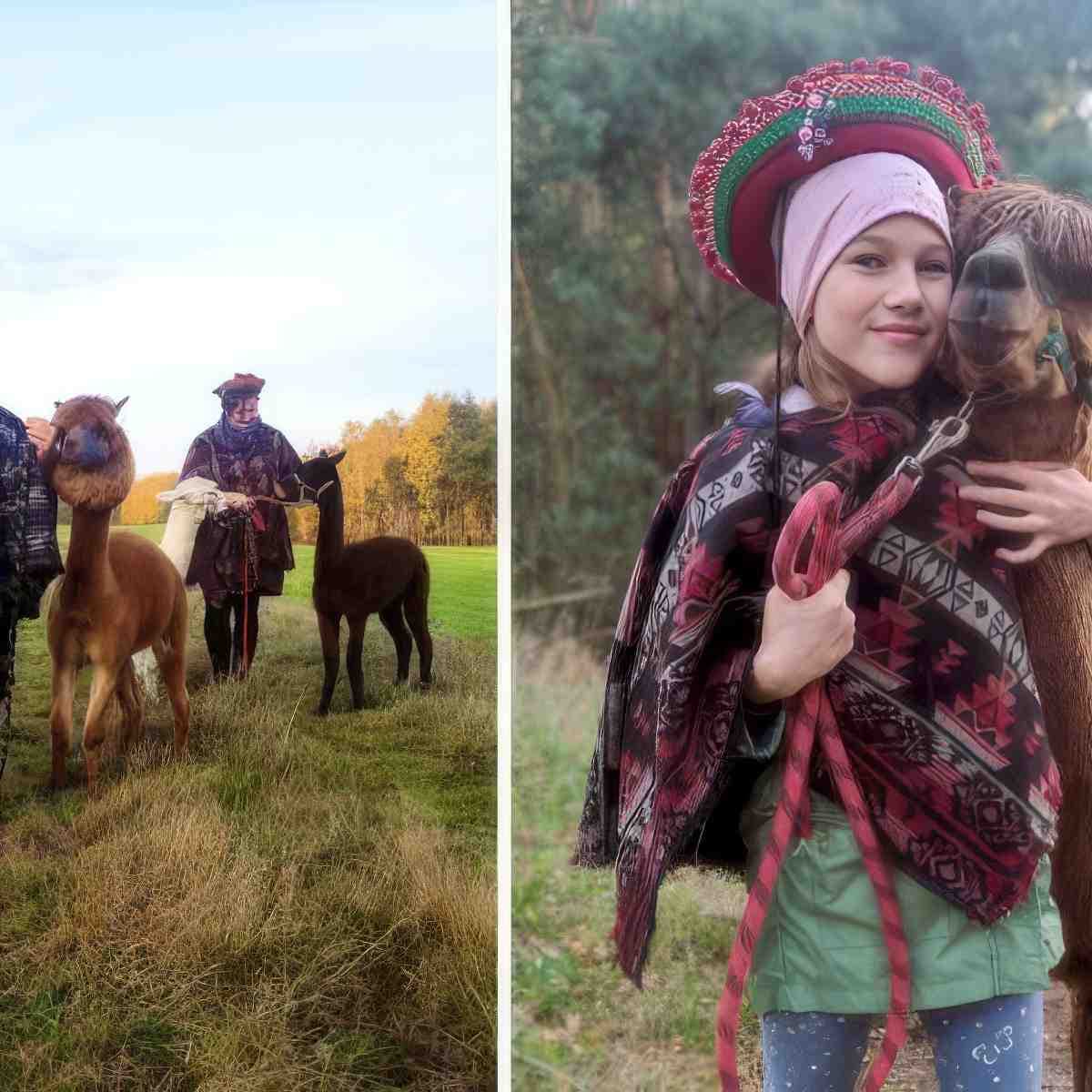 Spacer z Alpaką | Łódź (Pęczniew)