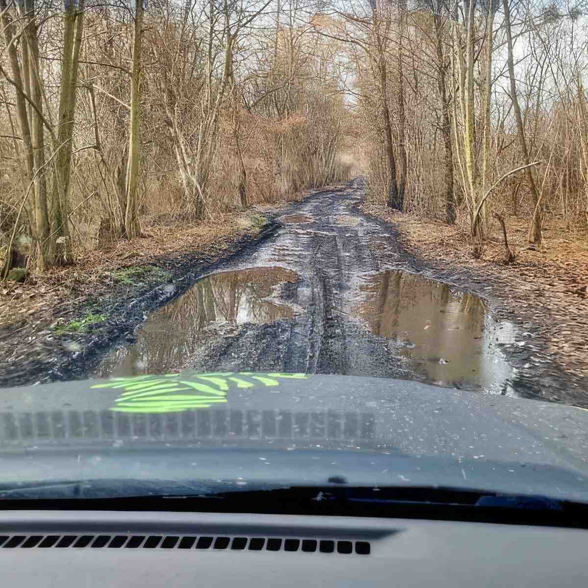 zdjęcie 5