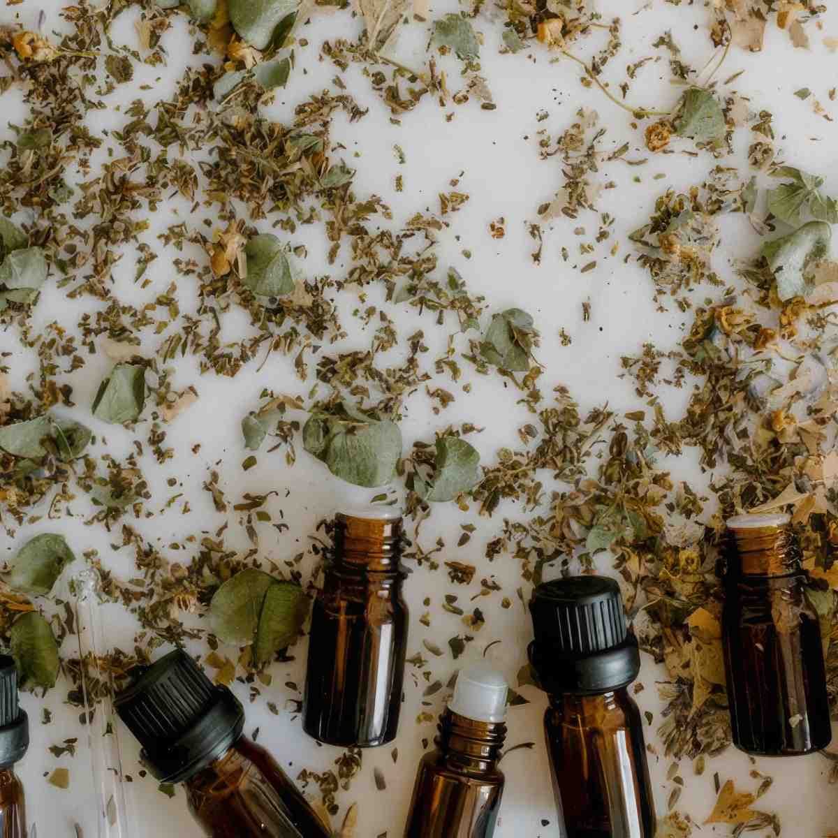 Warsztaty tworzenia ziołowych produktów | Piaseczno