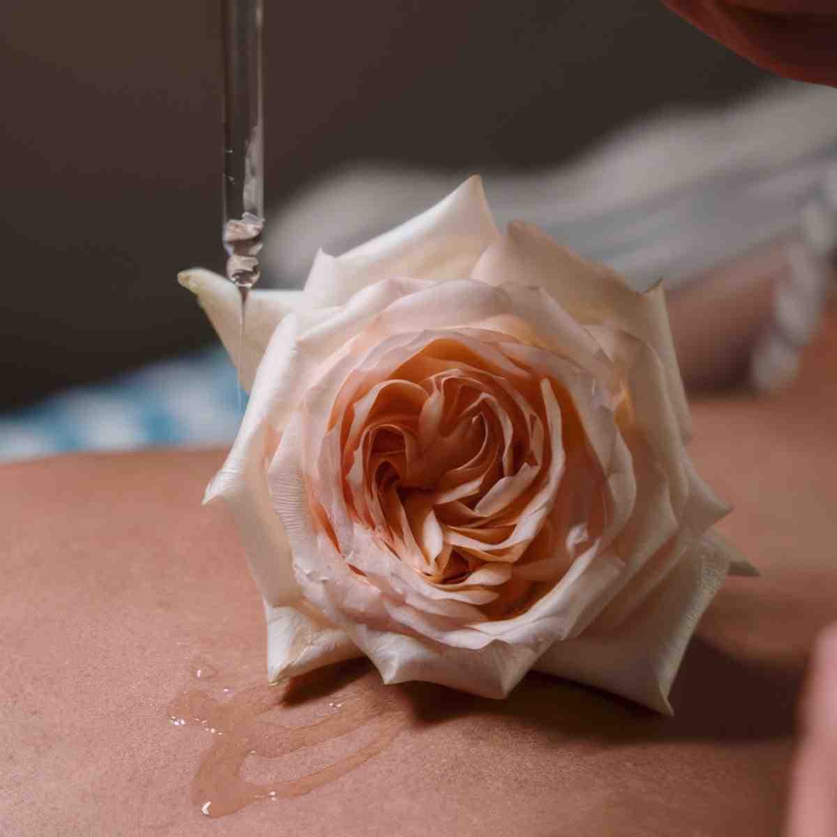 Voucher SPA 500 PLN | Gdynia | DAO Gabinet Masażu i Tradycyjnej Medycyny Chińskiej