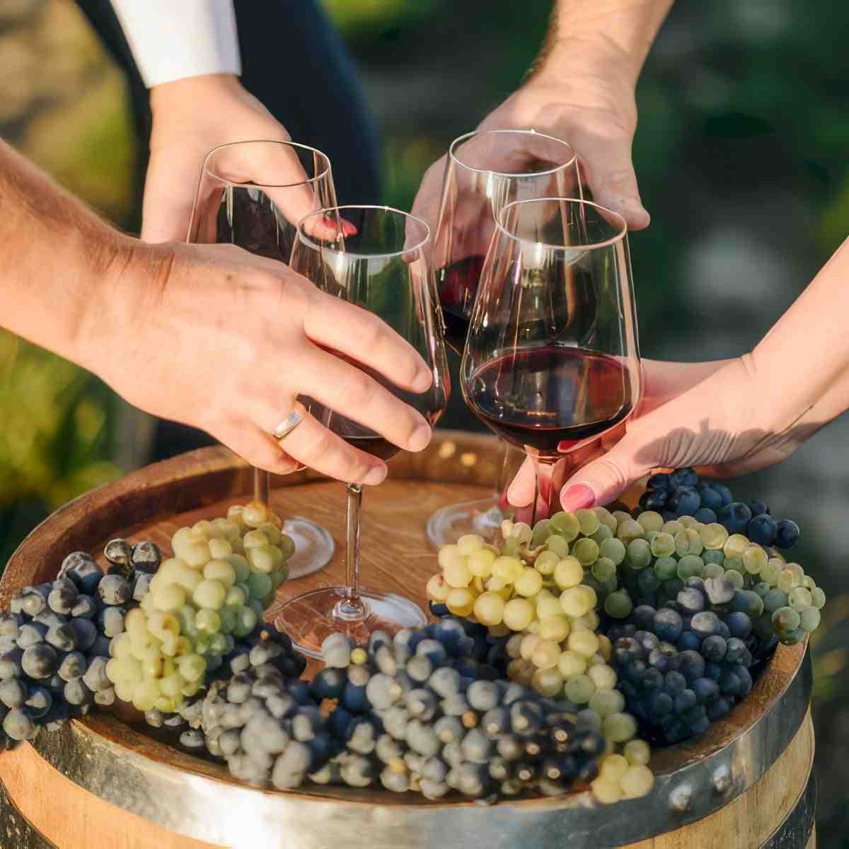 Degustacja win dla dwojga | Piła (Dębołęka) | Winnica Invictus