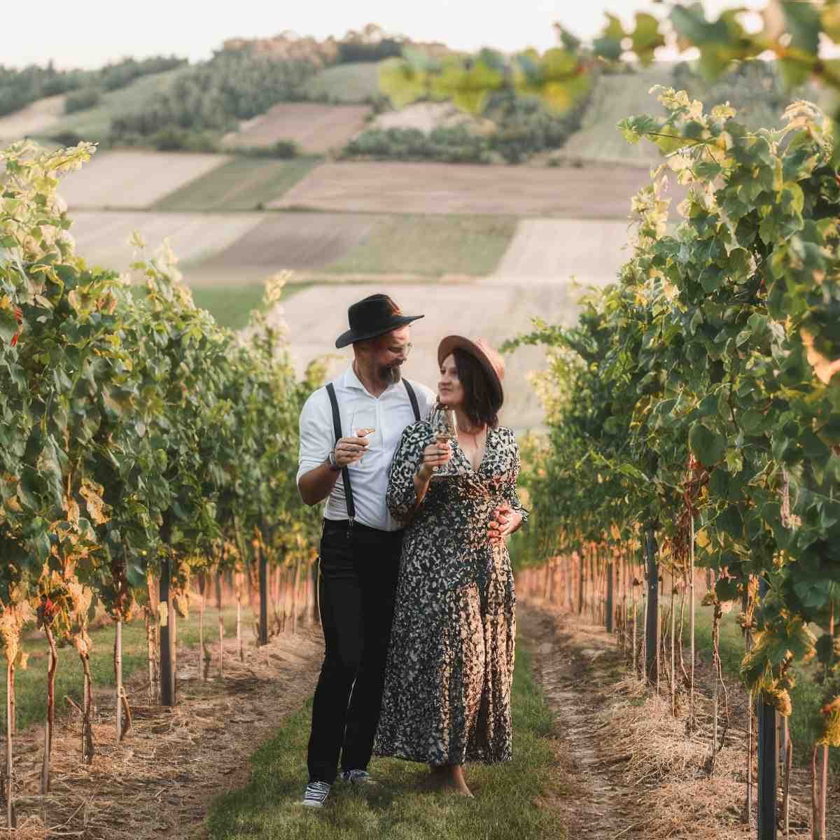 Degustacja win dla dwojga | Busko-Zdrój (Złota) | Winnica Złota Wieś