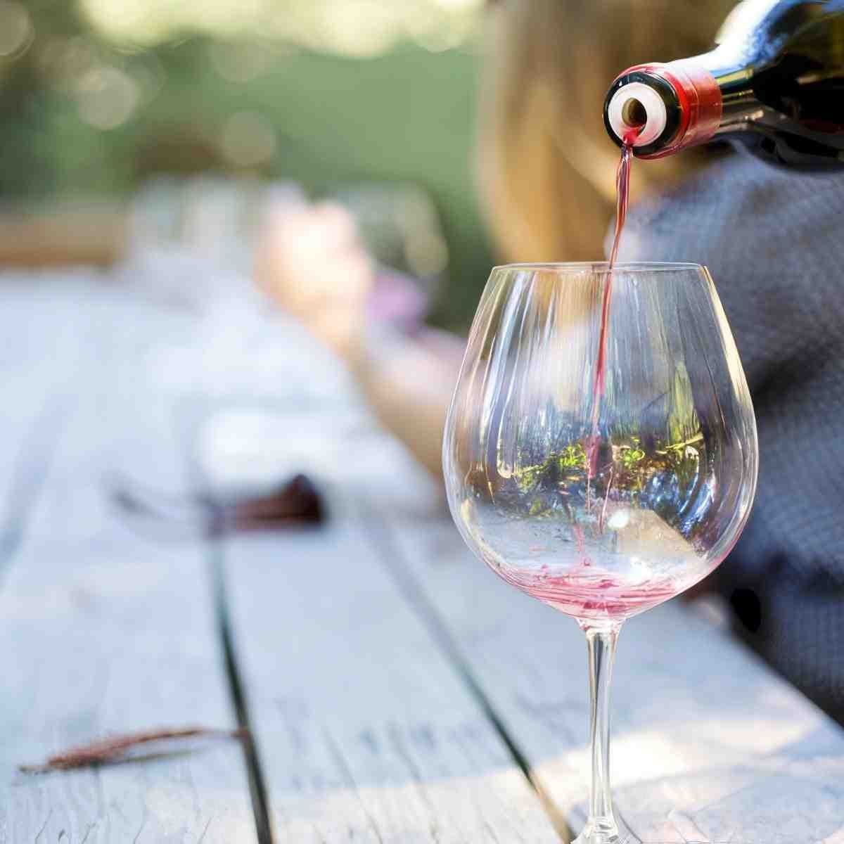 Degustacja win - warsztaty z właścicielem winnicy Trzebnicka | Wrocław (Zawonia) | Winnica Trzebnicka