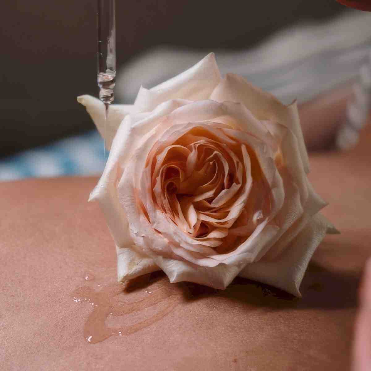 Voucher SPA 500 PLN | Katowice (Piotrowice) | Jasmine Oriental Massage & SPA