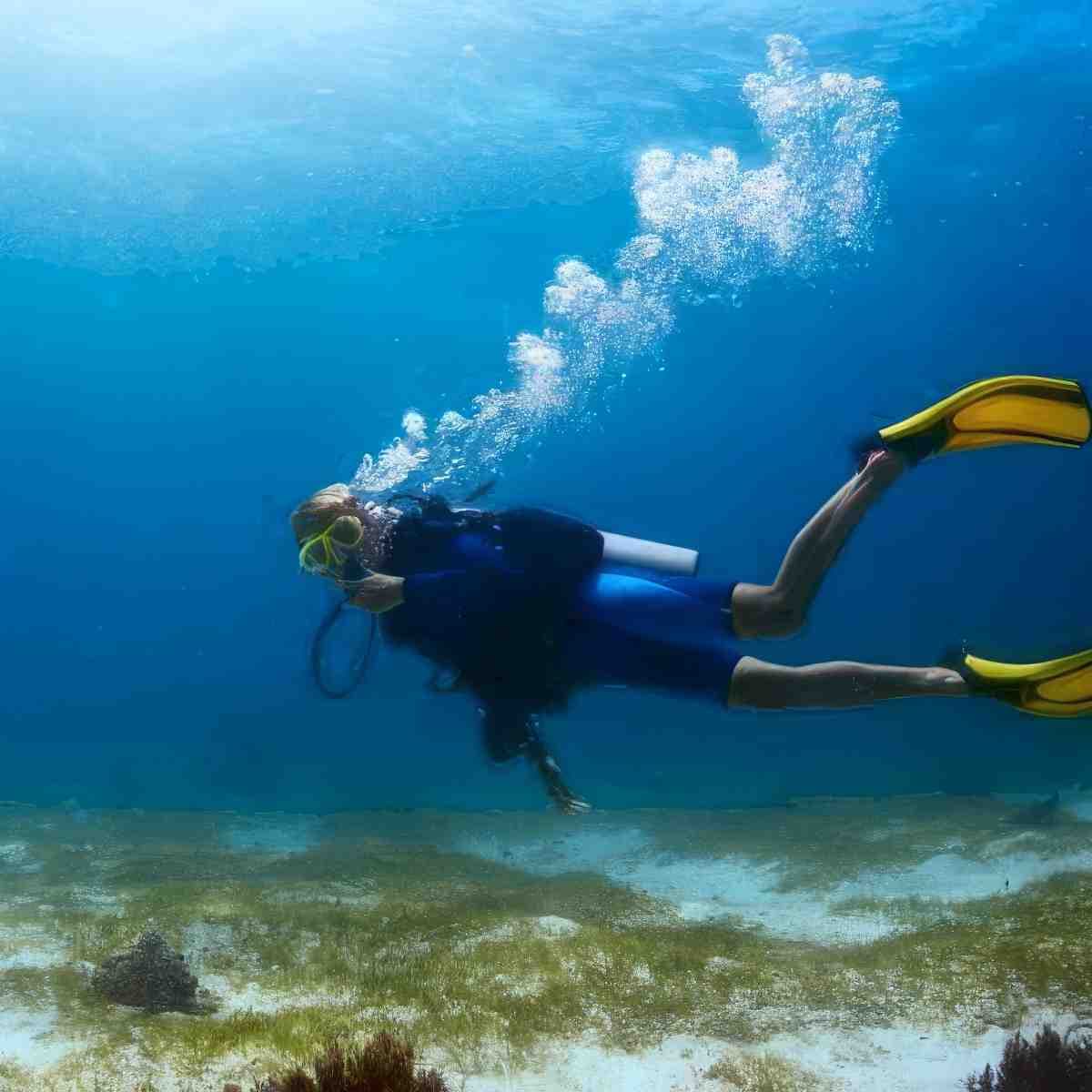 Podstawowy kurs nurkowania IDF Scuba Diver | Reda