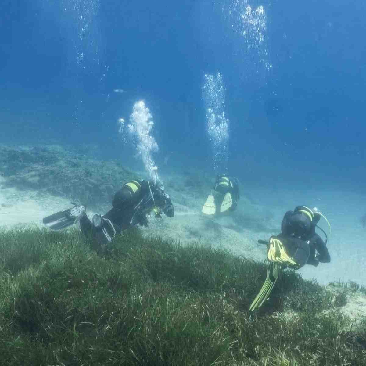 Poznaj nurkowanie | Świnoujście