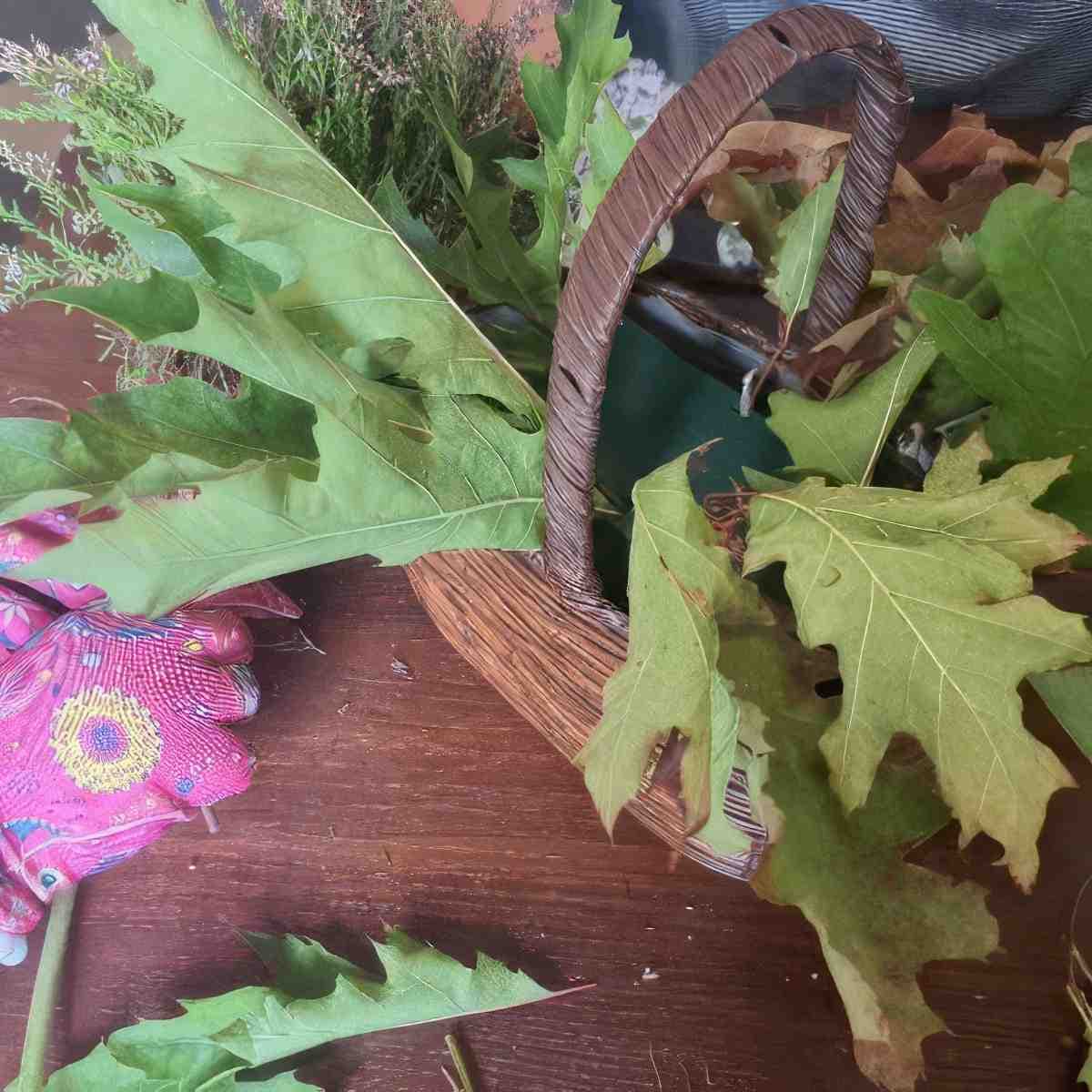 Voucher na zajęcia z hortiterapią | Online